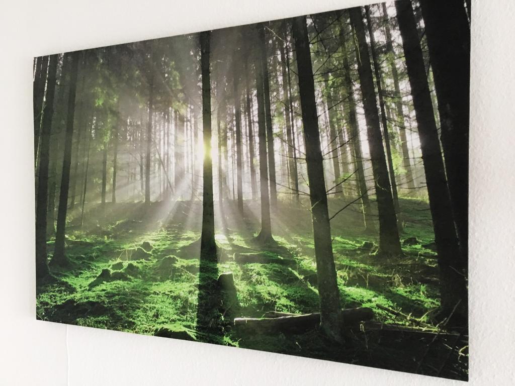 Apartment Treetown Regensburg Ngoại thất bức ảnh